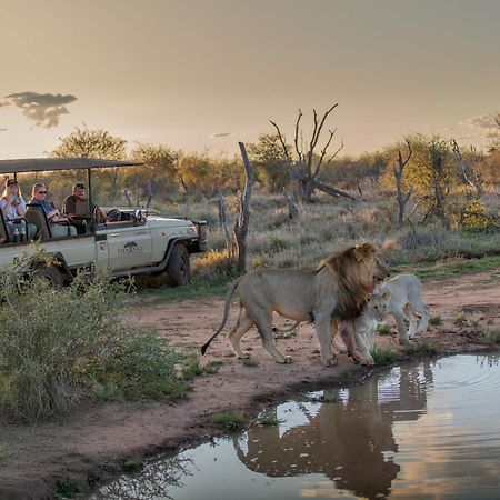 Tuningi Safari Lodge Madikwe Game Reserve Luaran gambar