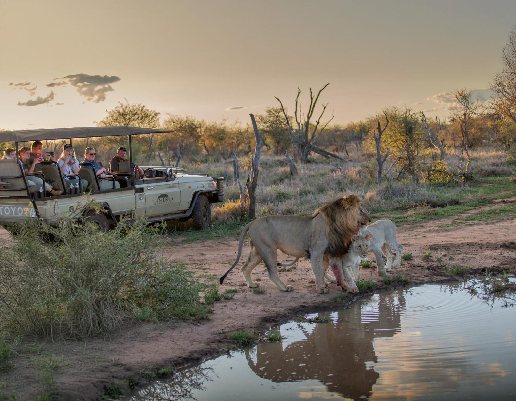 Tuningi Safari Lodge Madikwe Game Reserve Luaran gambar