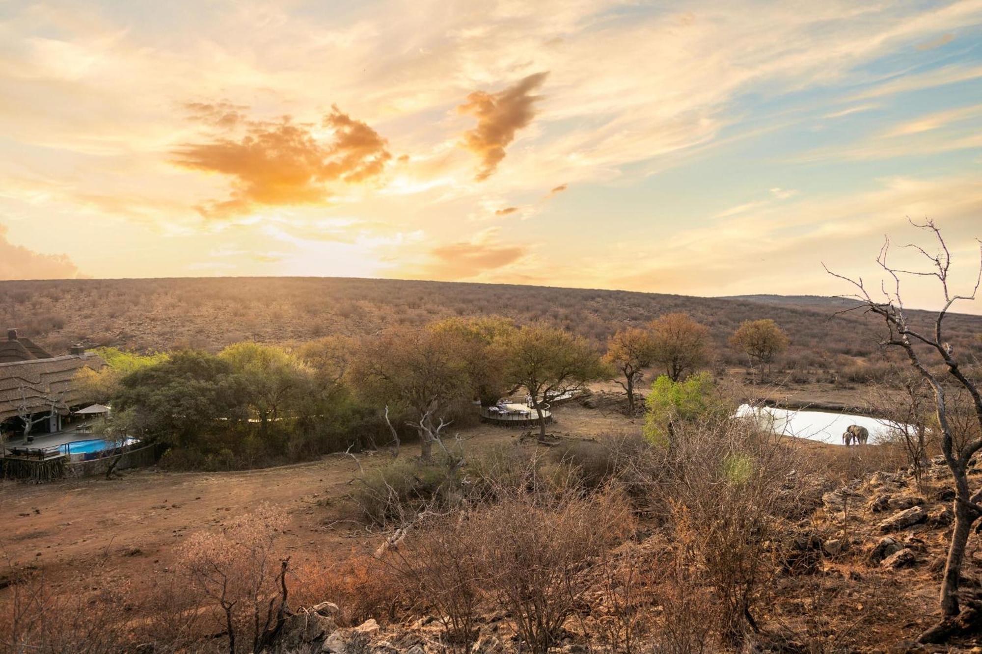 Tuningi Safari Lodge Madikwe Game Reserve Luaran gambar